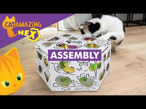 Cat Amazing HEX Assembly