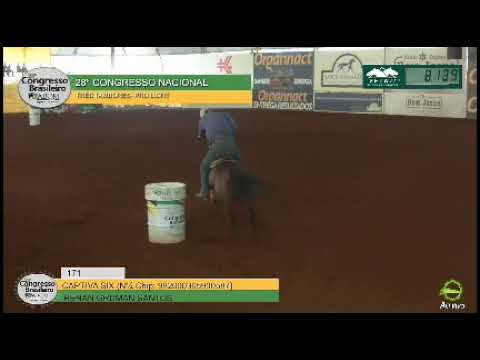 RENAN GRUMAN X CAPTIVA SIX - CONGRESSO NACIONAL ABQM 17´277