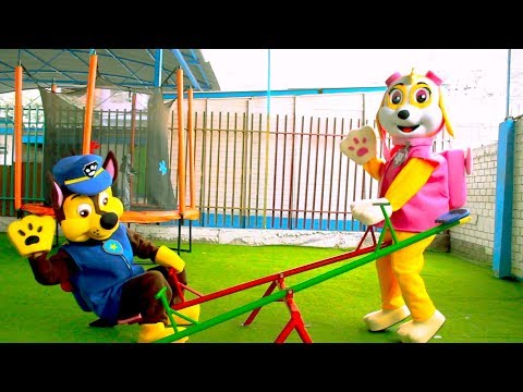 Paw Patrol Playing