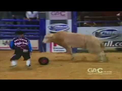 Apollo bucks Jimmy Lathero - 09 CBR Lufkin