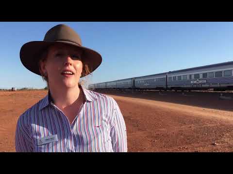 Australian's Ghan train celebrates 90 years of trips through outback