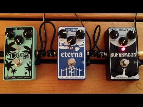 5 Minutes with Mr. Black's Reverb Pedals - Shootout - Gear Demo