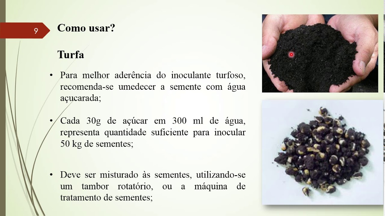 Aula Inoculantes - Microbiologia Agrícola - Prof.  Ismaele Breckenfeld