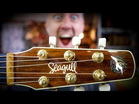 The Hidden Problem with Seagull Guitars...