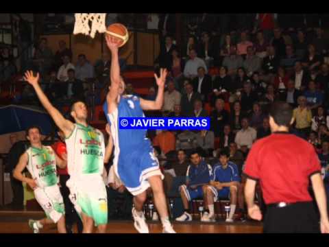 el chinchilla-adepal