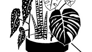 On The Ledge Podcast Episode 90: Fertilisers for houseplants plus OTL sowalong part four