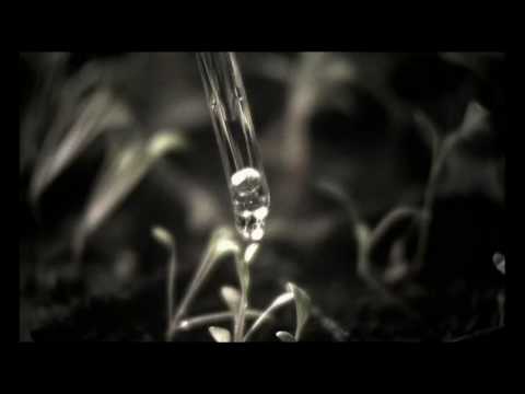 Hands on Approach - Silent Speech