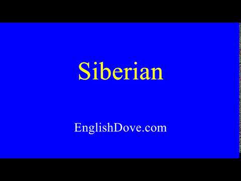 How to pronounce Siberian in American English.