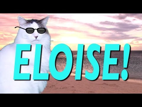HAPPY BIRTHDAY ELOISE! - EPIC CAT Happy Birthday Song