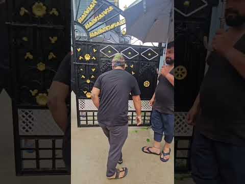 This Dog Trap Between Main Gate #facts #shorts