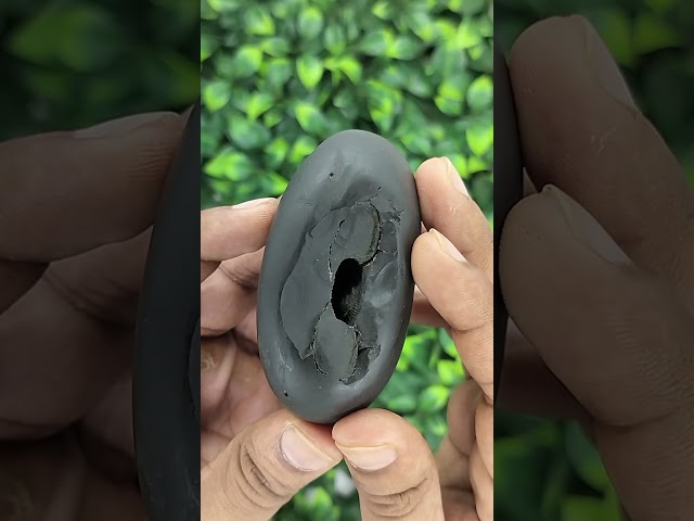 Shaligram Shila for Wisdom video