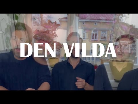 Den Vilda - One More Time