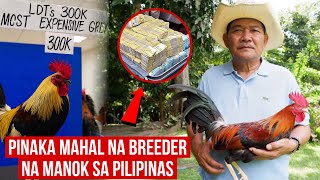 PINAKA MAHAL NA BREEDER NA MANOK SA PILIPINAS 2026 | ₱ 300K ISANG PIRASO | MISTER DI