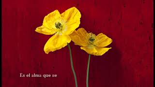 El ademán reciclado