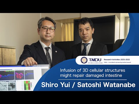 TMDU Research Activities 2021-2022 by Shiro Yui & Satoshi Watanabe