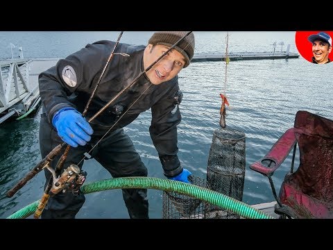 Finding LOST VALUABLES Every Time we Scuba Dive in Lake! Video