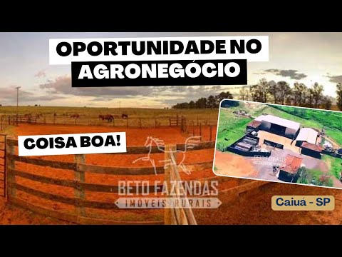 Oportunidade Pecuária de Elite em Caiuá (SP): Fazenda 90% Aproveitável