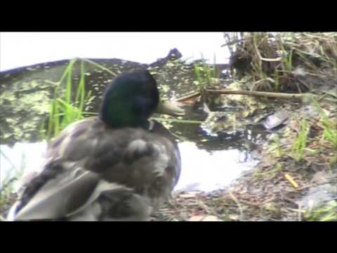 Lauantain ulkoilu + pyöräily Osa 3