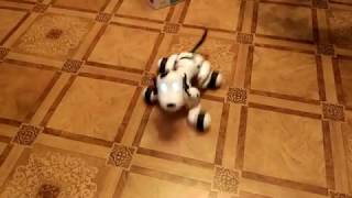 Happy Cow Smart Dog, чёрный (HC-777-338b) - відео 2