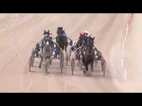 2023.02.18. 02. futam - SPRING HOME HENDIKEP