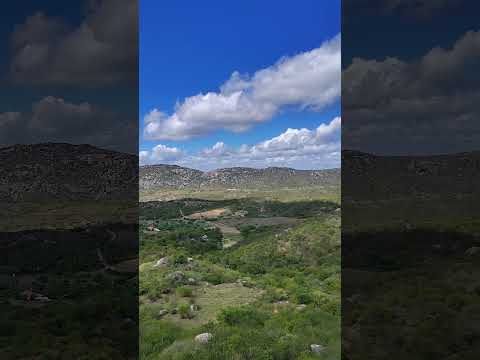 28 de abril DIA DA CAATINGA. #caatinga Dia Nacional da Caatinga! #riograndedonorte #brasil #elomar