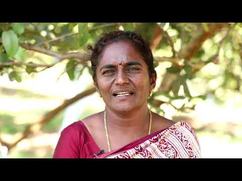 ICAR-IIHR Short Video Documentary on Richman's Guava (Arka Kiran and Arka Mrudula)