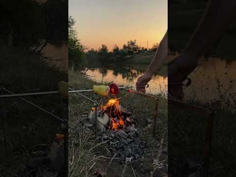 Набор для гриля и шашлыка ПОХОДНЫЙ BS44 Gorillas BBQ в чехле из брезента - фото 1 - id-p1276689290