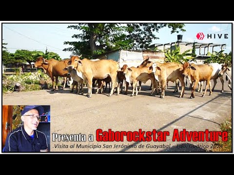 Gabo Adventure 2 - Llanos de Venezuela - Visita a San Jerónimo de Guayabal 2024