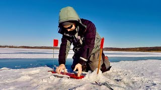 Catching Fish with Tip Ups during a Cold Front!