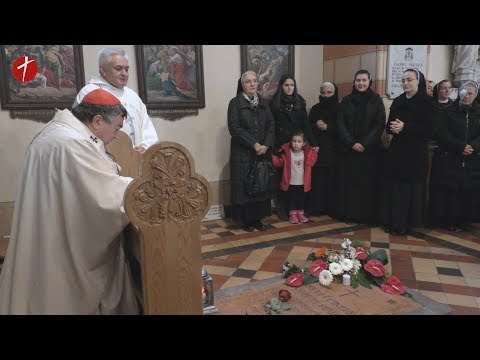 Svetkovina Bezgrješnoga začeća BDM i proglašenje Stadlerove godine