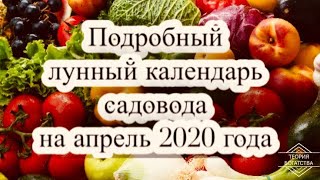 Лунный календарь для рыбалки на апрель 2020 посадки