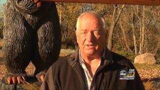 Northern Lights Campground Video