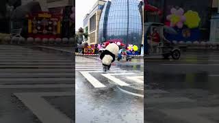Download lagu How many seconds did it take the panda to run across this street? Yixing's super fun amusement p mp3 Download lagu How many seconds did it take the panda to run across this street? Yixing's super fun amusement p mp3