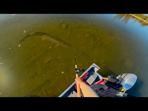Fishing Ultra Clear Water for the Biggest Pike of my Life!