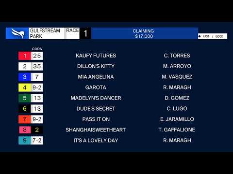 TIZTHELAW (Gulfstream Park Holy Bull  February 1, 2020)