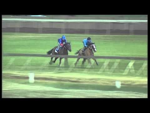 Vodacom Durban July 2013 Pomodoro Gallop