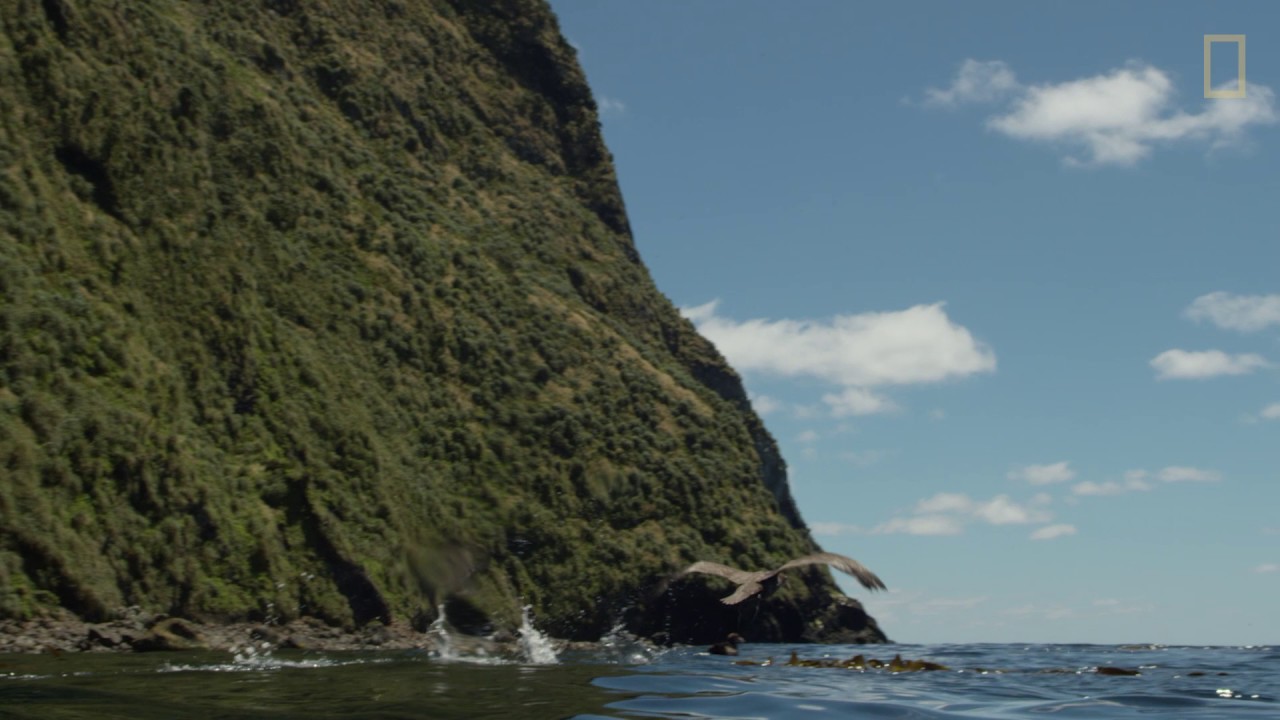 Video cover