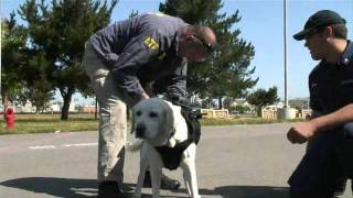 K-9 helicopter familiarity flight