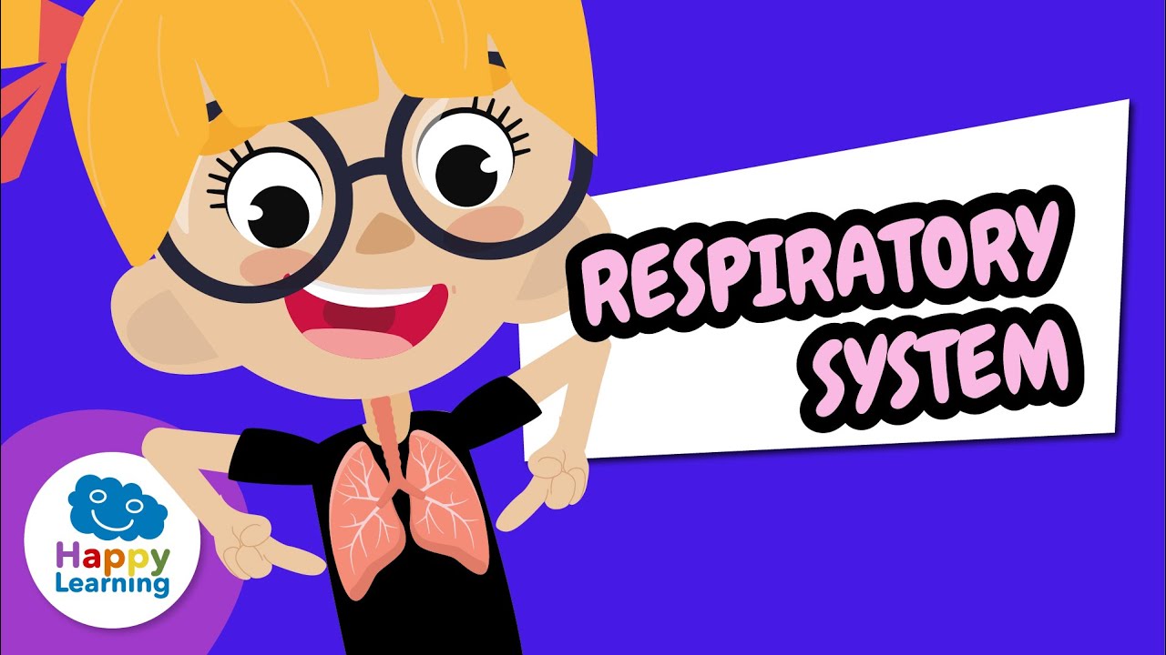 🫁 THE RESPIRATORY SYSTEM and Other Human Body Functions | Educational Videos | @HappyLearningENG