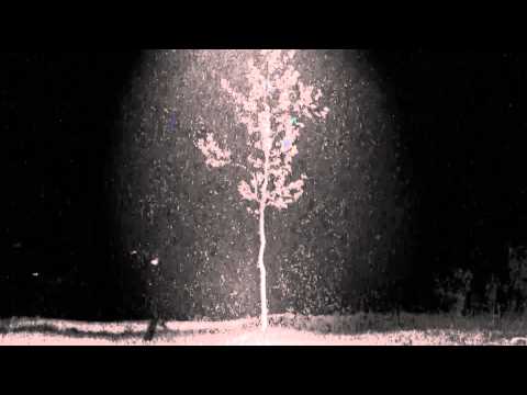 David Lynch - The Ballad of Hollis Brown (dance video)