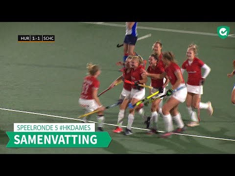 Hoofdklasse (D): Samenvatting Hurley - SCHC