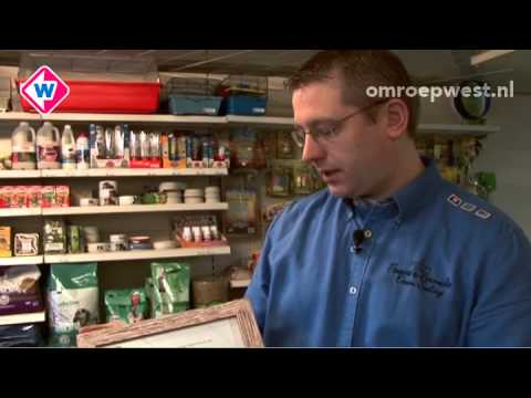 download lagu mp3 mp4 Dierenwinkel Aalst, download lagu Dierenwinkel Aalst gratis, unduh video klip Dierenwinkel Aalst