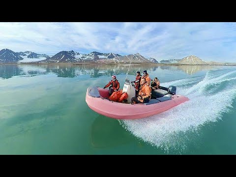 Polar opposite: how climate change is altering the Arctic?