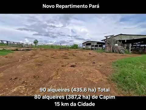 90 alqueires ( 435,6 ha ) a Venda em Novo Repartimento Pará. 94 99298-3658 zap