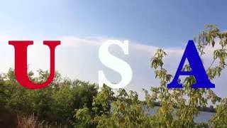 I love the USA - Weezer