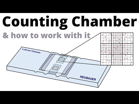 How to count cells with the Neubauer Counting Chamber