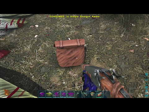 Loot from Alpha Rex - Ark Survival Evolved