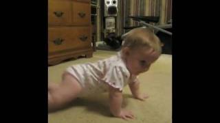 Cassidy crawling