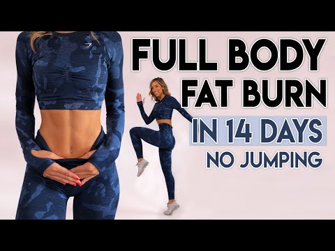 INTENSE FULL BODY FAT BURN (no jumping) | 10 minute Workout