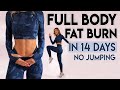 INTENSE FULL BODY FAT BURN (no jumping) | 10 minute Workout